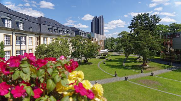 A photo from the South Lounge balcony: gazing over the campus courtyard, a sea of lush green grass and trees draws the eye to the horizon: blue skies and fluffly white clouds. In the foreground: pink impatiens in full bloom overflow their pot.